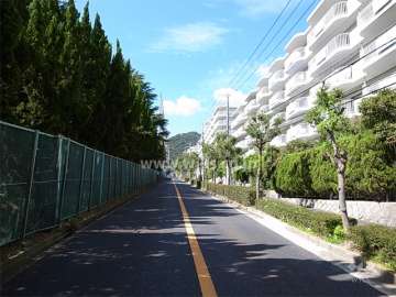 敷地南側は二車線のバス通りに面しています。