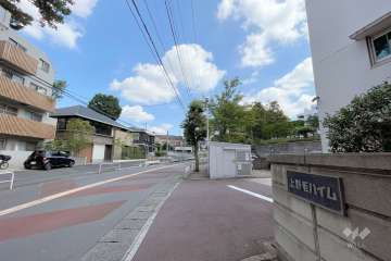 敷地西側の前面道路（南側から）