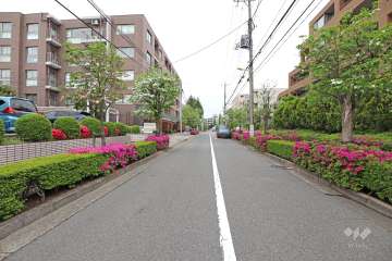 敷地南西側の前面道路（南東側から）