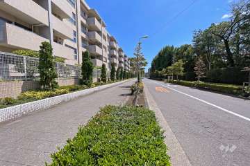 敷地南西側の前面道路（北西側から）