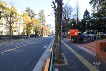 敷地北側の前面道路(西側から)