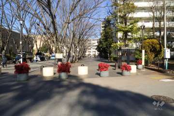 敷地西側の前面道路(南側から)