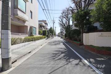 敷地東側の前面道路（北側から）