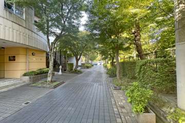 敷地北側の前面道路（東側から）