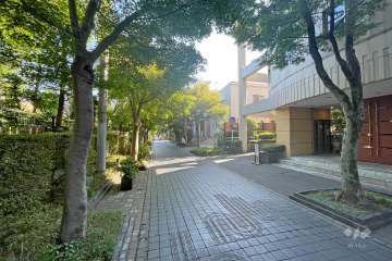 敷地北側の前面道路（西側から）