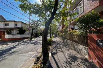 敷地北東側の前面道路（北西側から）