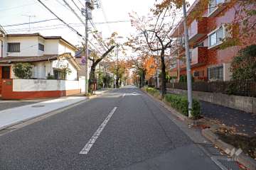 敷地北東側の前面道路（北西側から）