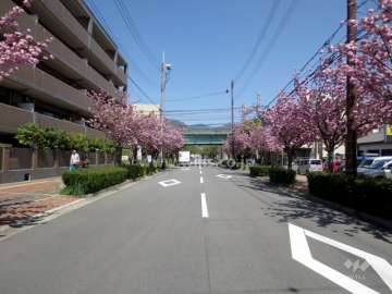 敷地東側の前面道路
