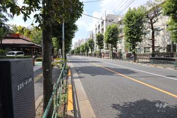 敷地北側の前面道路（東側から）