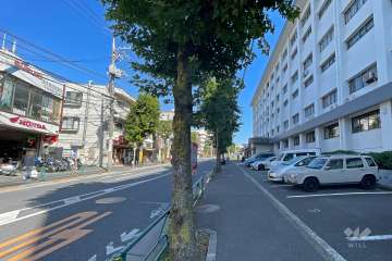 敷地の前面北側道路（西側から）