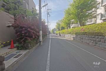敷地西側の前面道路（北側から）