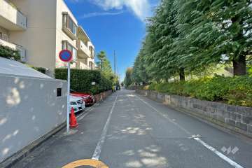 敷地西側の前面道路（北側から）