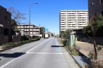 敷地西側の前面道路（南側から）