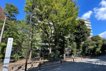 パシフィック馬事公苑前2号棟の外観（南側から）