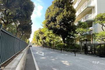 敷地の南側前面道路（東側から）