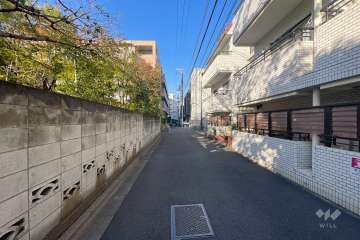 敷地西側の前面道路（南側から）