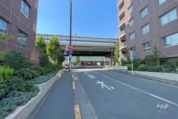 敷地西側の前面道路（南側から）