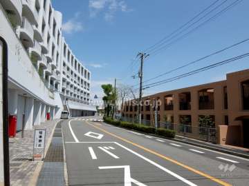 敷地北側の前面道路。二車線のバス通りです。