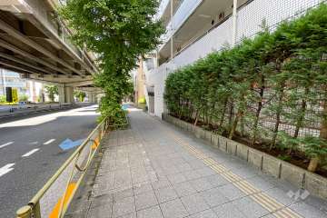 敷地北側の前面道路（西側から）