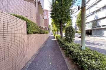 敷地北側の前面道路（東側から）