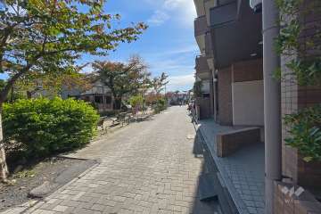 敷地東側の前面道路（北側から）