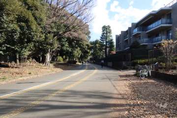 敷地北側の前面道路(西側から)
