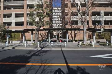 南側エントランスアプローチ