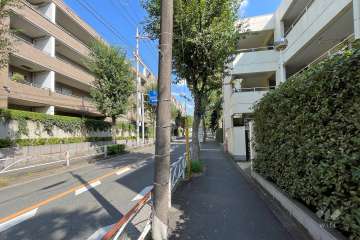 敷地南側の前面道路