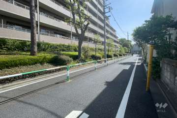 敷地南側の前面道路（西側から）