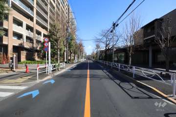 敷地南側の前面道路(西側から)