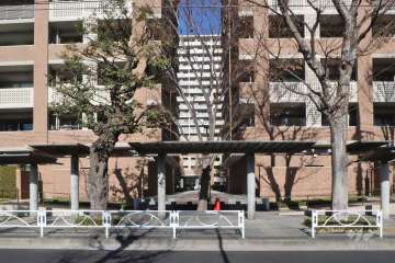 南側エントランスアプローチ