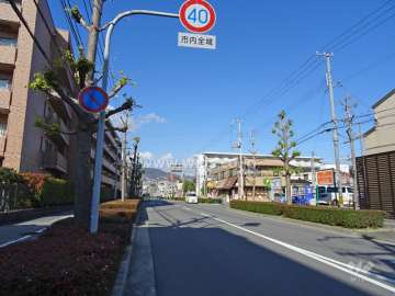 敷地東側の前面道路。目の前にバス停があります。