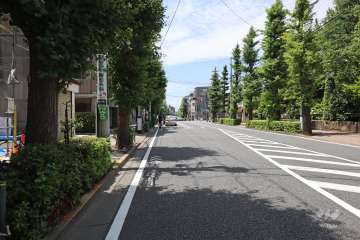 敷地北側の前面道路（東側から）