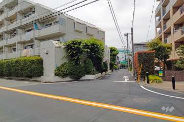 敷地の北側道路（東側から）