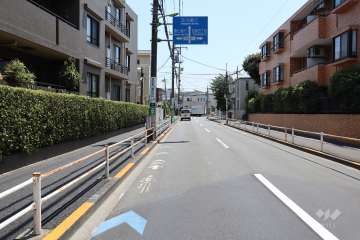 敷地西側の前面道路（南側から）