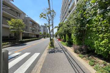 敷地南側の前面道路（東側から）