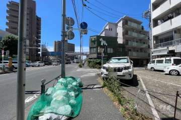 敷地南側の前面道路（東側から）