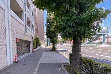 敷地東側の前面道路（南側から）