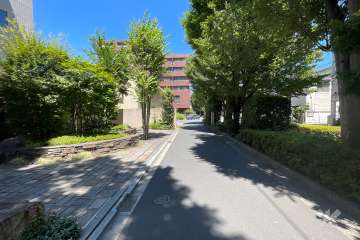 敷地東側の前面道路