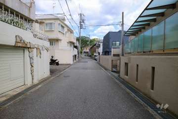 敷地西側の前面道路（南側から）