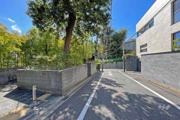 敷地の西側全面道路（北側から）