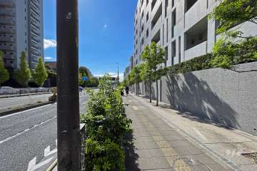 敷地の東側全面道路（北側から）