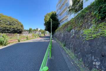 敷地の西側道路（南側から）