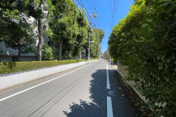 敷地の東側道路（南側から）