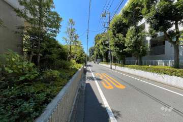 敷地の東側道路（北側から）