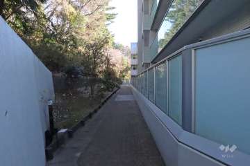 敷地北東側の前面道路（北西側から）