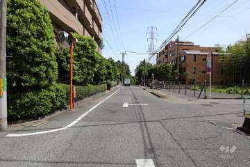 敷地西側の前面道路（北側から）
