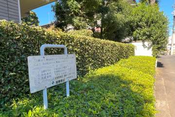 敷地内の各所に植栽スペースが設けられています。