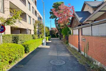 敷地南側の前面道路　