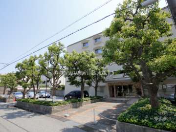 敷地北側、道路に面した場所には植栽スペースが設けられています。